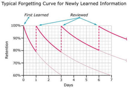 forgetting curve