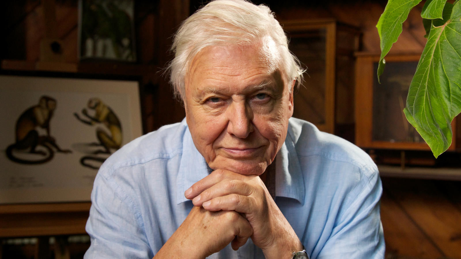 david-attenborough